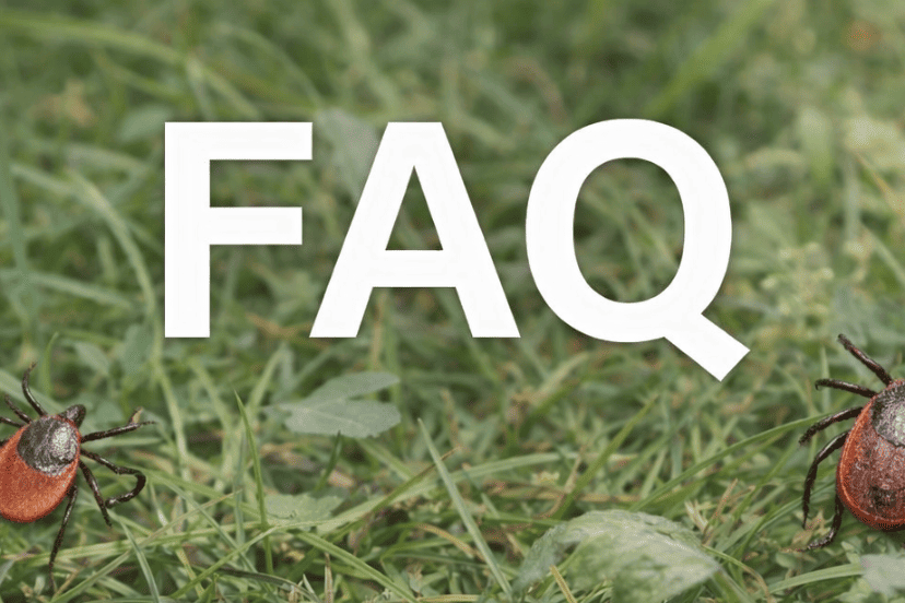 ダニ刺されによる環状紅斑に関するFAQ（よくある質問）