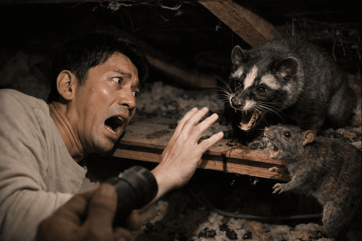 素人判断で捕まえようとする・追い出そうとする