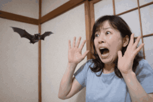 なぜコウモリは家に入ってきた？追い出す方法や対策を解説