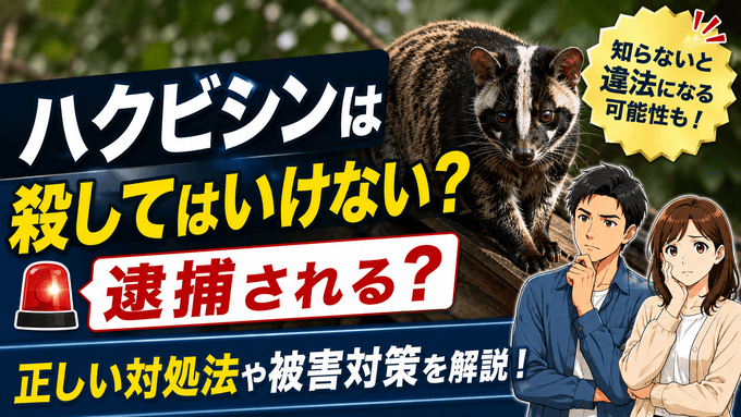 ハクビシンは殺してはいけない？逮捕される？正しい対処法や被害対策