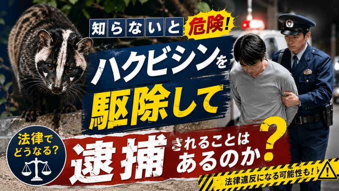 ハクビシンを駆除して逮捕されることはあるのか