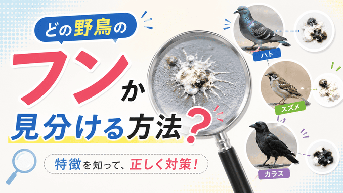 フンの種類を見分ける方法