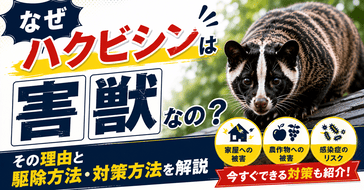 なぜハクビシンは害獣なの？その理由と駆除方法・対策方法を解説