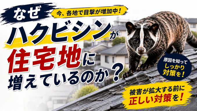 なぜハクビシンが住宅地に増えているのか