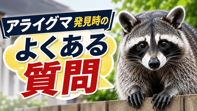 アライグマ発見時のよくある質問