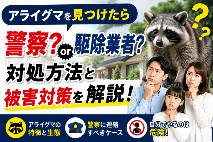 アライグマを見つけたら警察？駆除業者？対処方法と被害対策を解説
