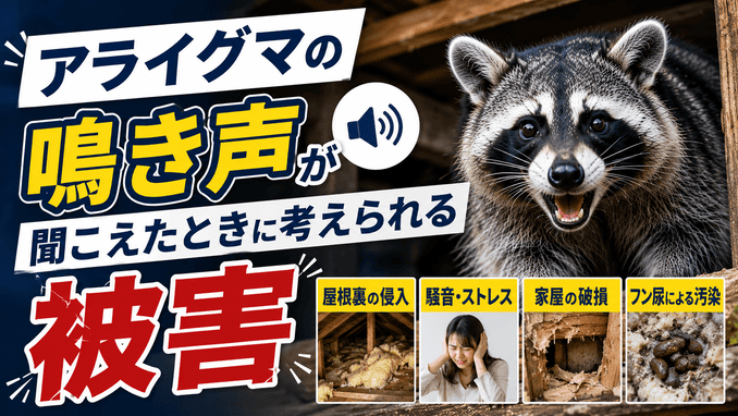 アライグマの鳴き声が聞こえたときに考えられる被害