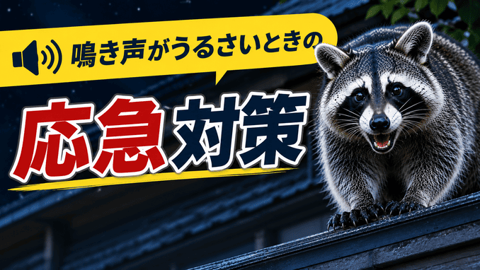 鳴き声がうるさいときの応急対策