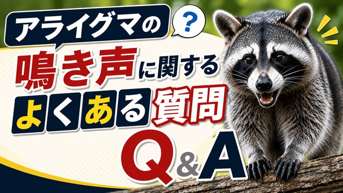 アライグマの鳴き声に関するよくある質問