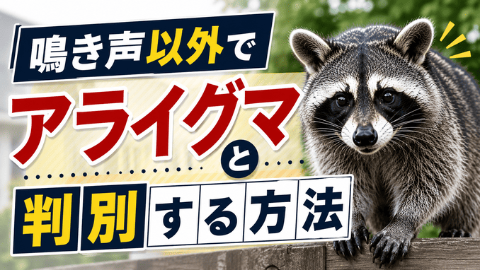 鳴き声以外でアライグマと判別する方法
