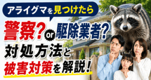 アライグマを見つけたら警察？駆除業者？対処方法と被害対策を解説