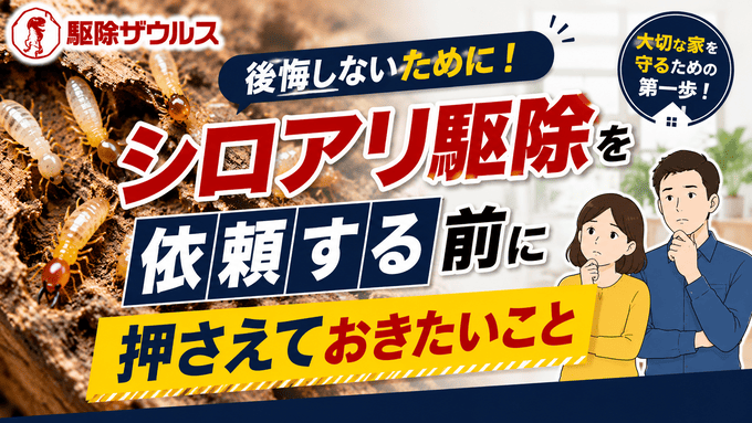 シロアリ駆除を依頼する前に押さえておきたいこと