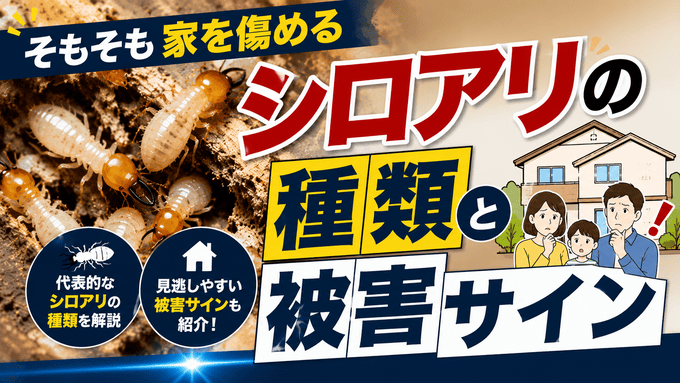 そもそも家を傷めるシロアリの種類と被害サイン