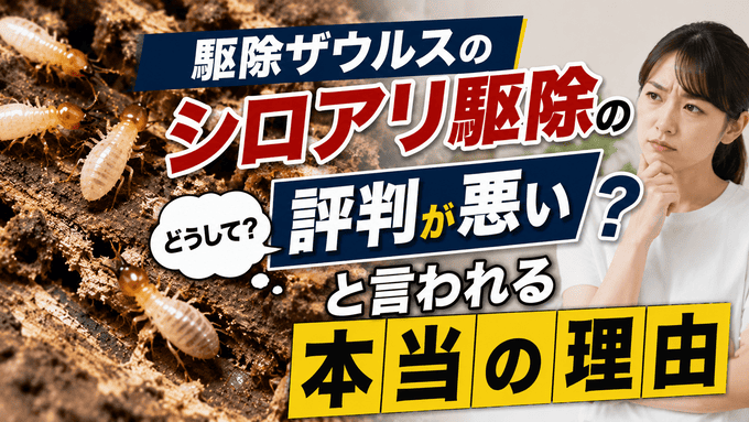 駆除ザウルスのシロアリ駆除の評判が悪いと言われる本当の理由