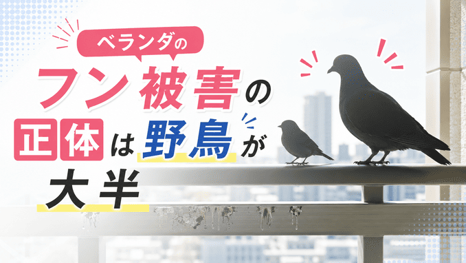 ベランダのフン被害の正体は野鳥が大半