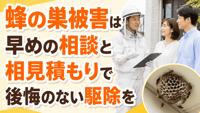 蜂の巣被害は早めの相談と相見積もりで後悔のない駆除を
