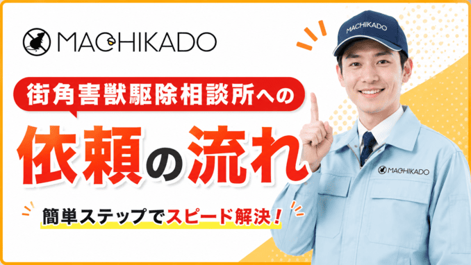 街角害獣駆除相談所への依頼の流れ