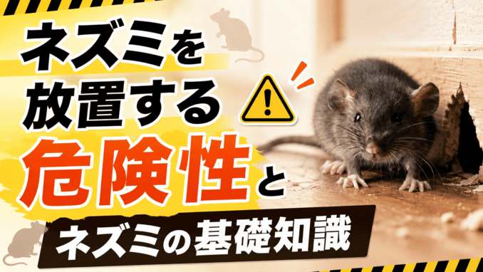 ネズミを放置する危険性とネズミの基礎知識