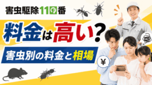 害虫駆除110番の口コミ評判は？高い？料金体系やサービスを解説