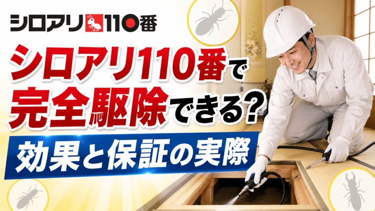 シロアリ110番で完全駆除できる?効果と保証の実際